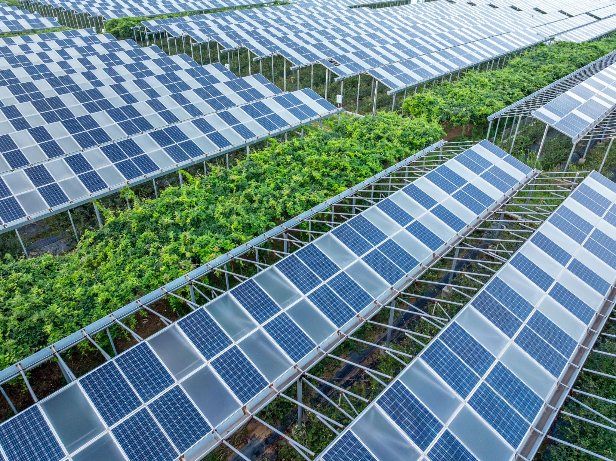 BIPV / Agrivoltaics